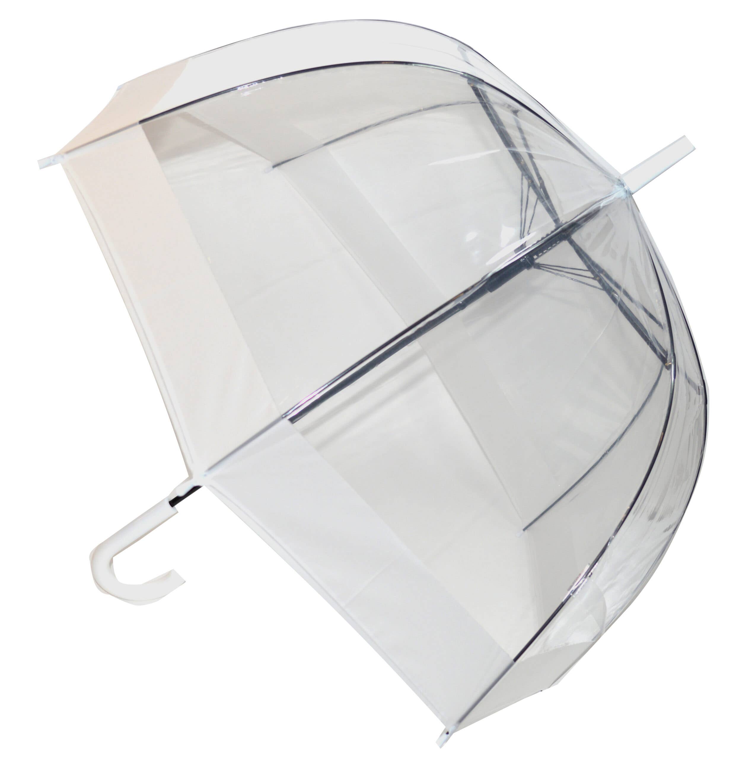 Everyday Walking Stick Style Clear Dome Umbrella with White