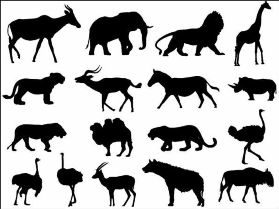 African Animal Silhouette Background edible Printed Cake Decor Topper Icing Sheet  Toppers Decoration