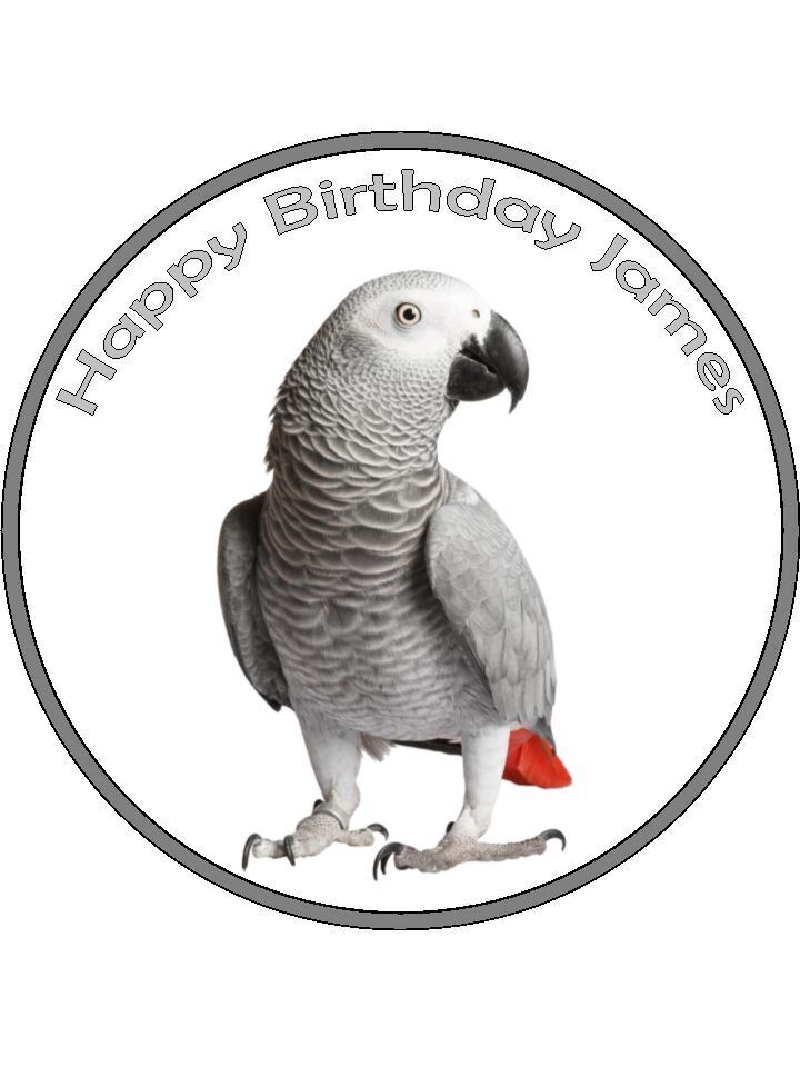 Parrot African grey bird Personalised Edible Printed Cake Topper Round Icing Sheet