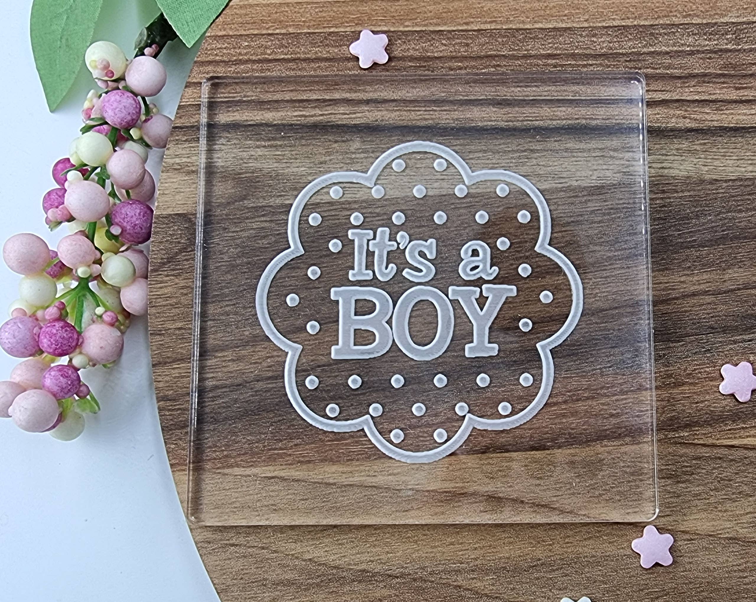 Make & Fun It's a Boy Baby Shower Arrival Gender Reveal Fondant Embosser, Cookie Debosser