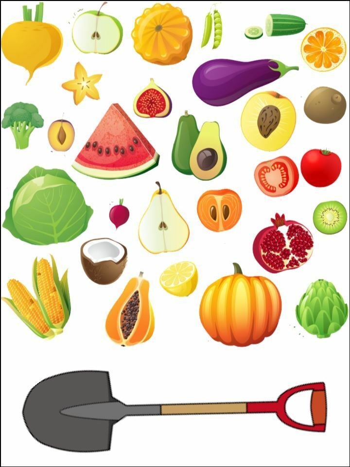 Fruit Vegetable Veg Garden Allotment Background edible Printed Cake Decor Topper Icing Sheet  Toppers Decoration