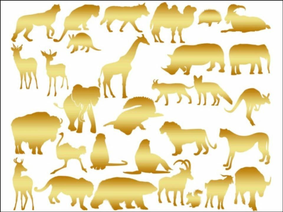 Gold colour animals silhouettes Edible Printed Cake Decor Topper Icing Sheet Toppers Decoration