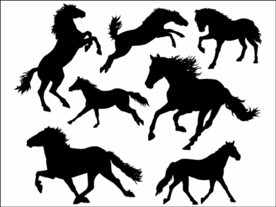 Horse Pony Horses Silhouette Background edible Printed Cake Decor Topper Icing Sheet Toppers Decoration