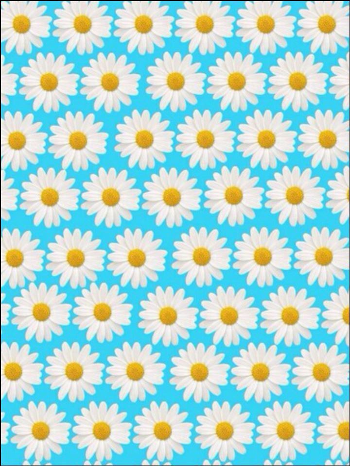 blue floral daisy background edible Printed Cake Decor Topper Icing Sheet  Toppers Decoration