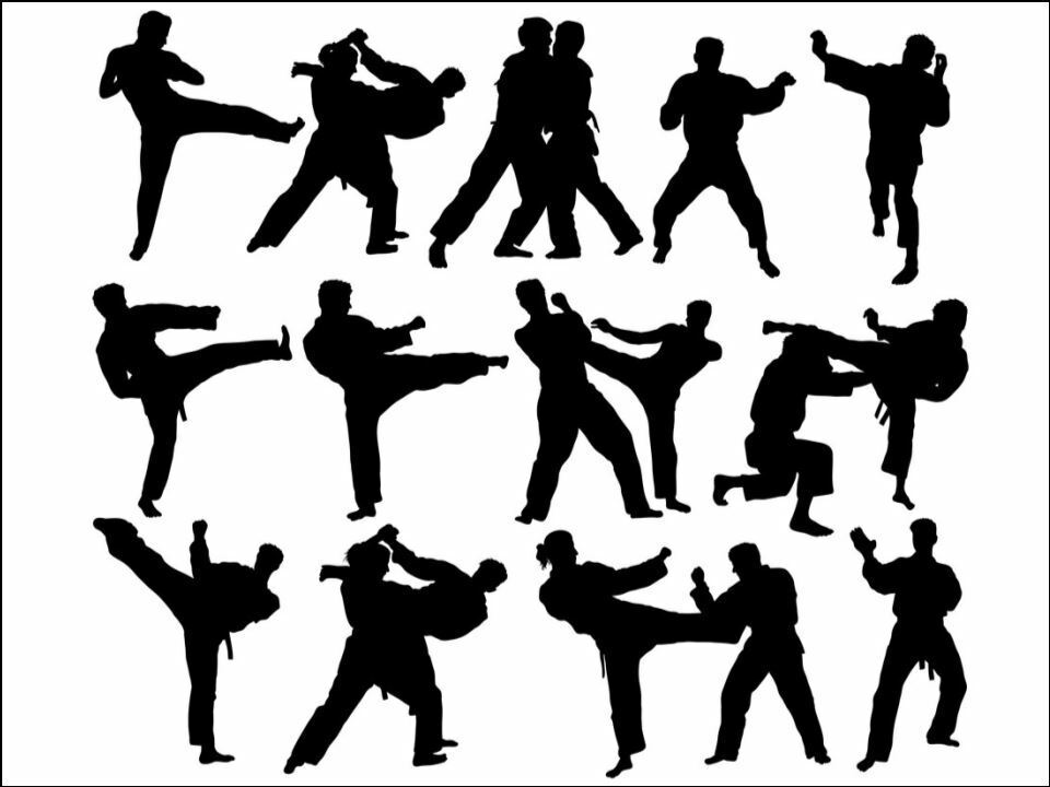 MMA fighting martial arts silhouettes Edible Printed Cake Decor Topper Icing Sheet Toppers Decoration