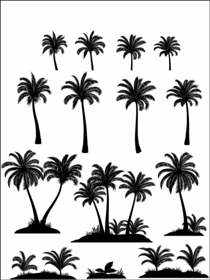 Palm tree silhouette plants nature  Edible Printed Cake Decor Topper Icing Sheet Toppers Decoration