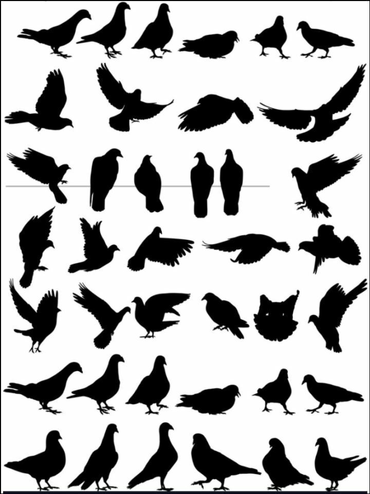 birds silhouette plants nature Edible Printed Cake Decor Topper Icing Sheet Toppers Decoration