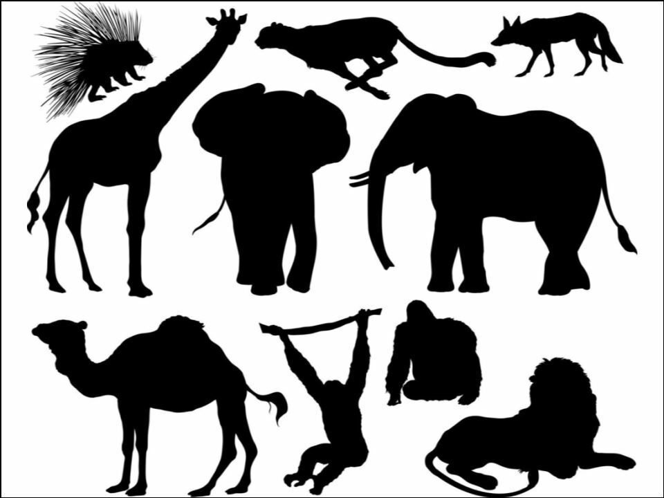 Monkey the wild animals Silhouette Background edible Printed Cake Decor Topper Icing Sheet Toppers Decoration