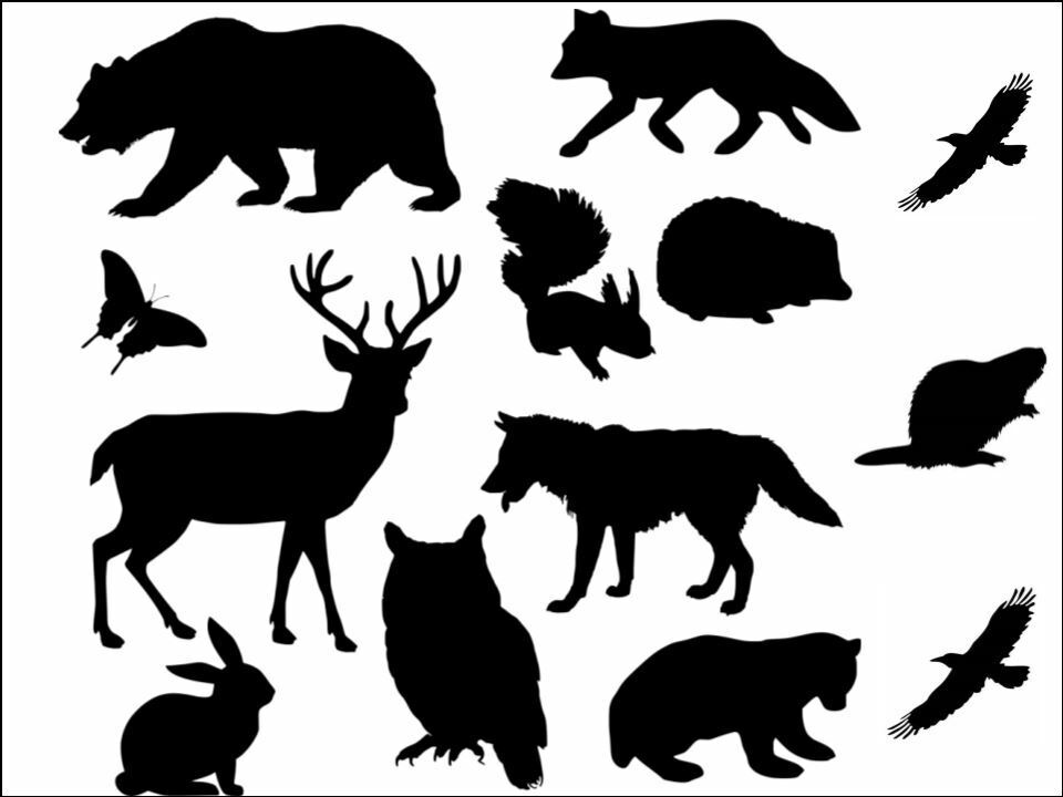 Wildlife animals wild Silhouette Background edible Printed Cake Decor Topper Icing Sheet Toppers Decoration