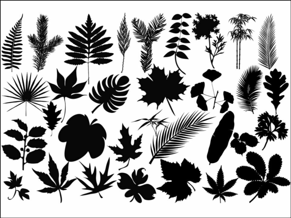 leaves silhouette plants nature Edible Printed Cake Decor Topper Icing Sheet Toppers Decoration