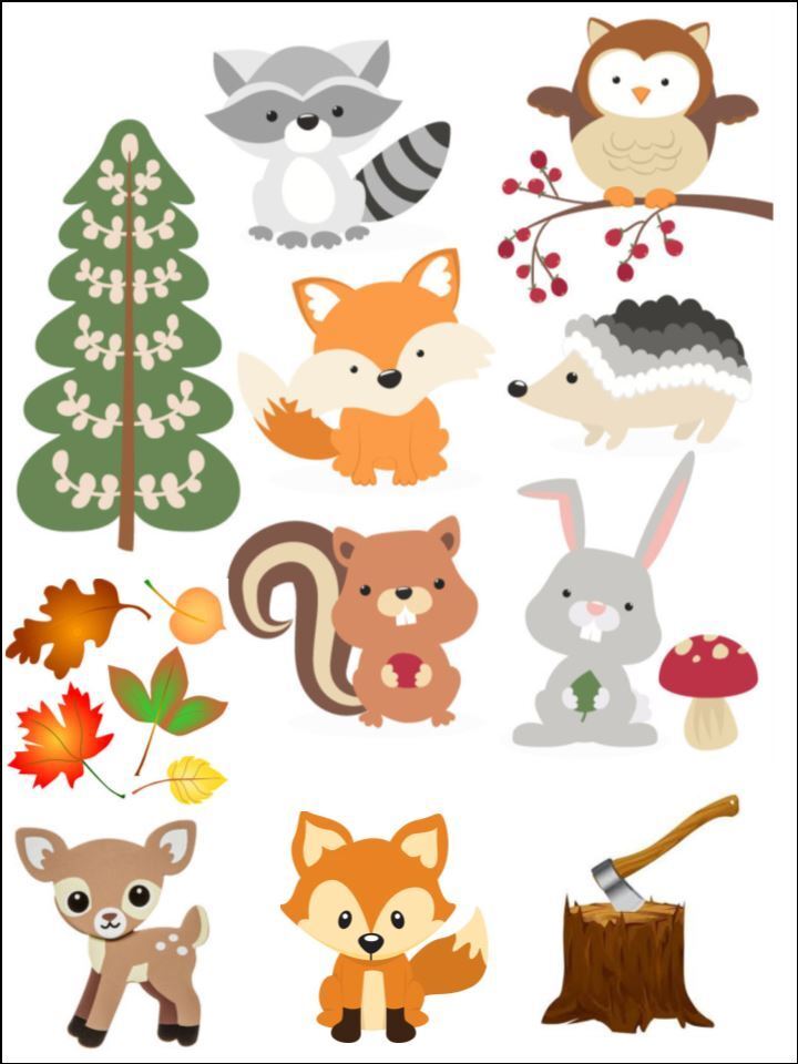 woodland animals nature fox trees edible Printed Cake Decor Topper Icing Sheet  Toppers Decoration