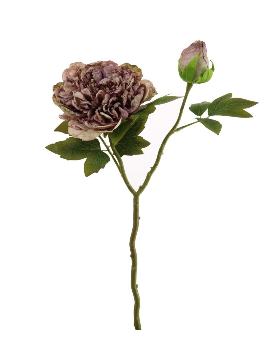 Dried Touch Open Peony Artificial Flower Stem - Vintage Mauve
