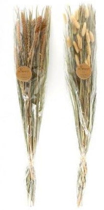 Dried Grass Stem Bunch - 85cm - The Cooks Cupboard Ltd
