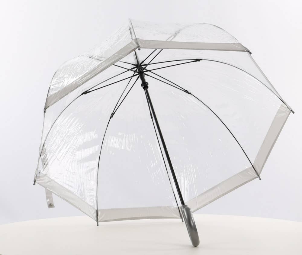 Everyday Clear Dome Vinyl Umbrella Silver