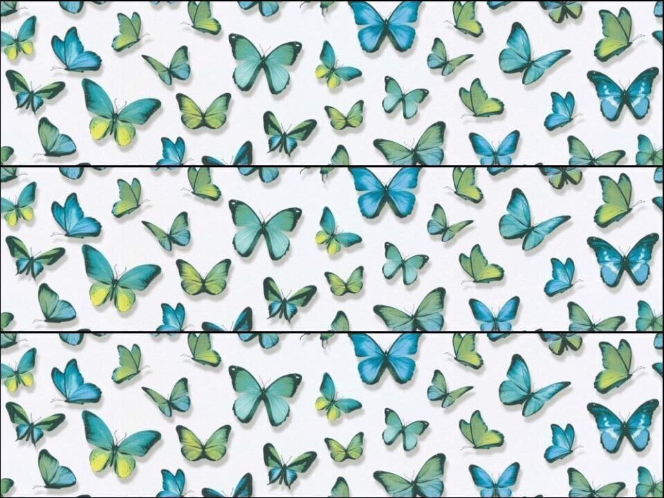 Butterfly Butterflies Blue Green Ribbon Border Edible Printed Icing Sheet Cake Topper