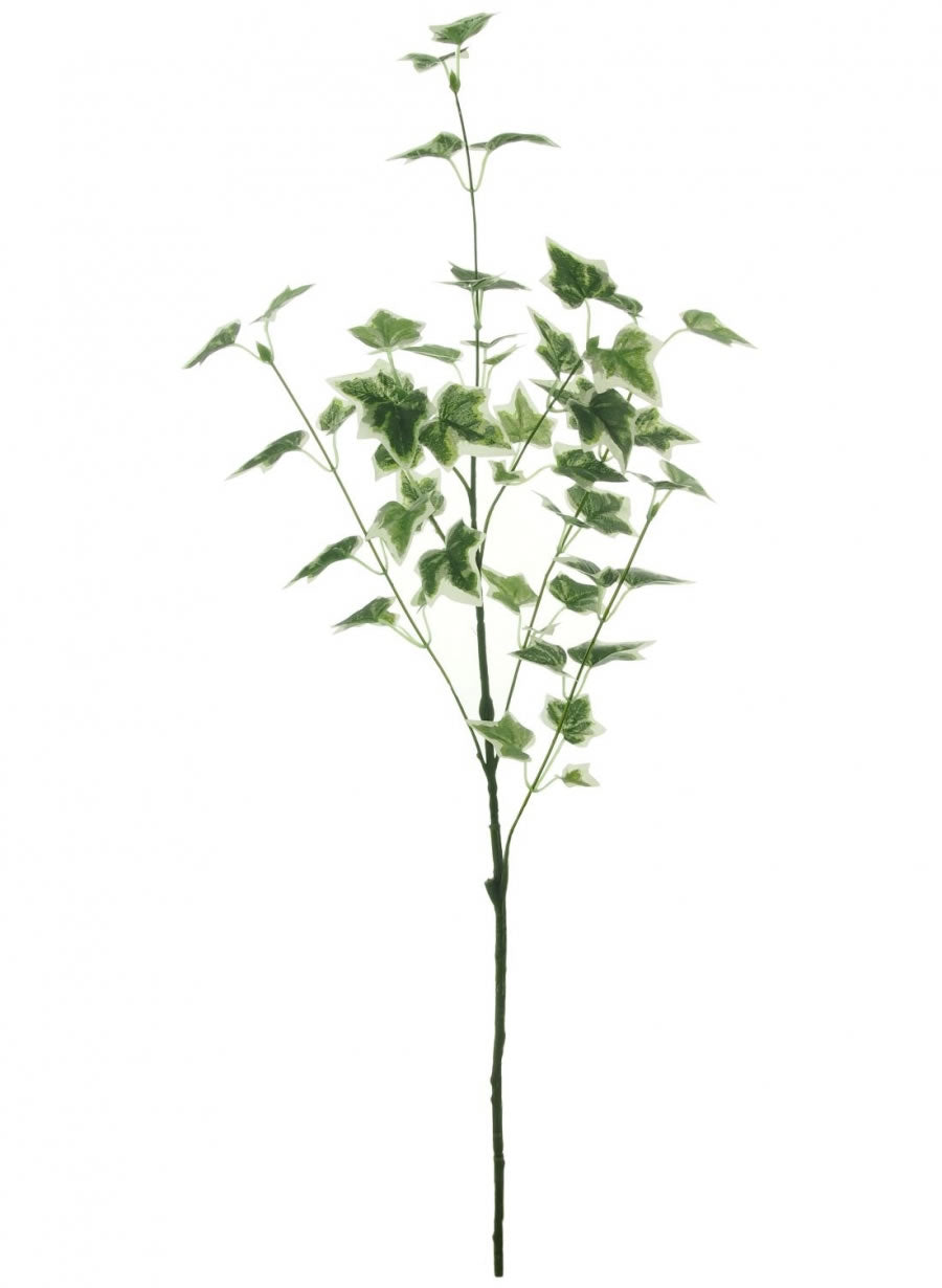 Medium Ivy Decorative Artificial Foliage Stem - Green with White Detailing - Kate's Cupboard