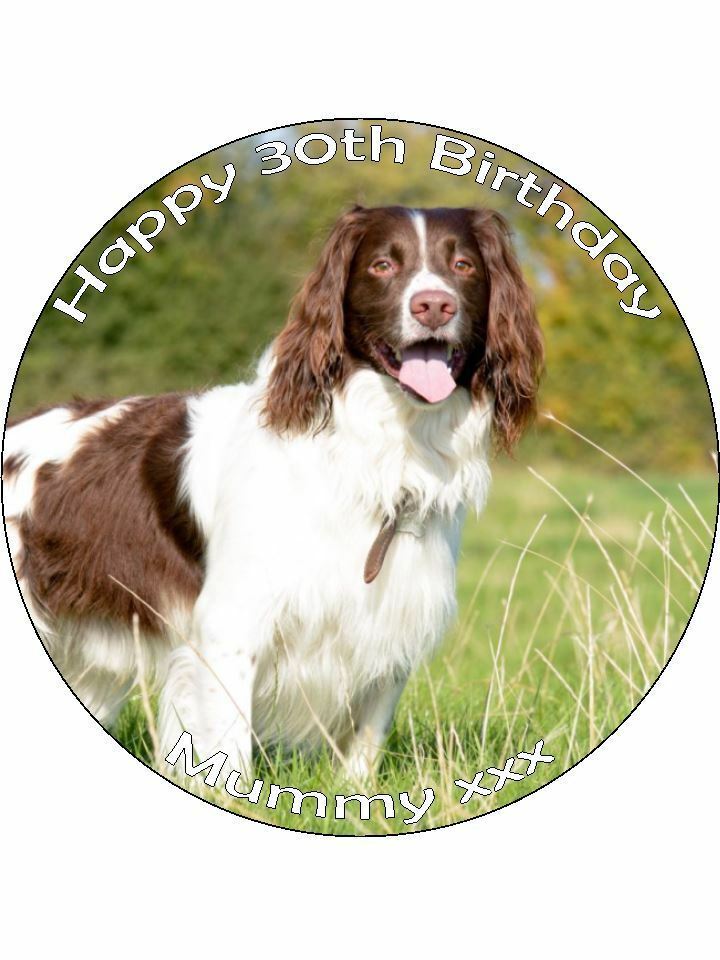 Springer spaniel cake clearance topper