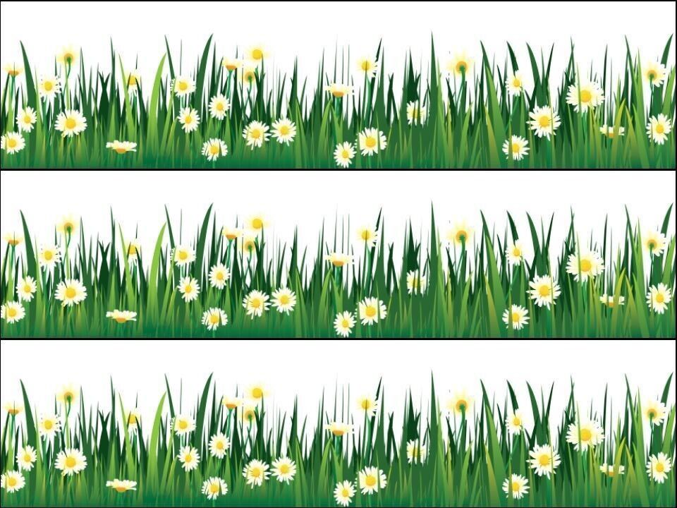 Grass white daisy flowers floral Ribbon Border Edible Printed Icing Sheet Cake Topper