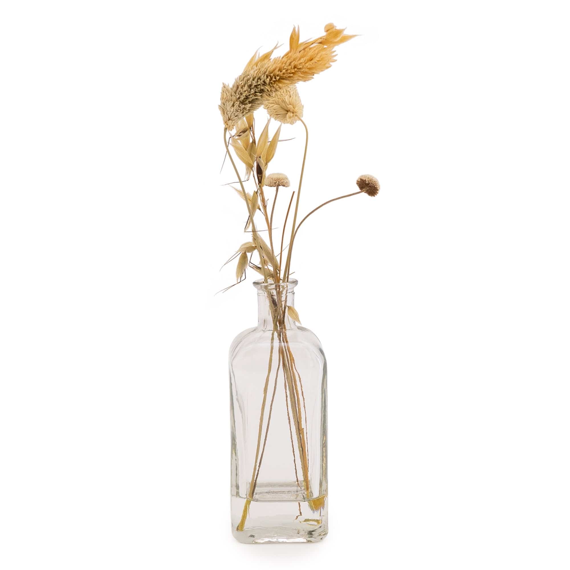 Small Dried Grasses & Flowers Arrangement in Square Glass Vase - Kate's Cupboard