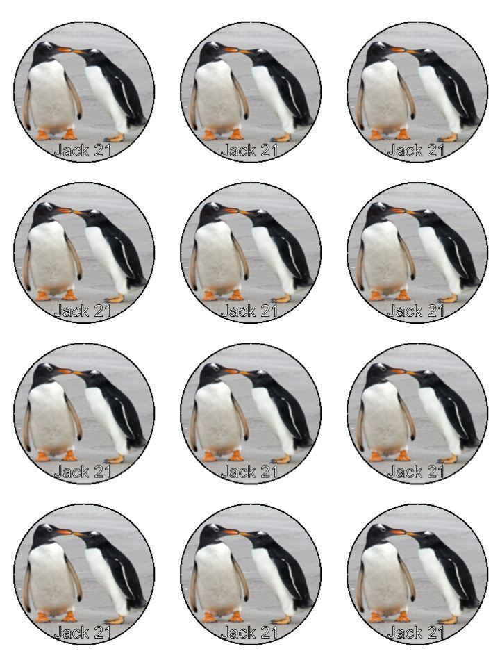 Personalised Penguin animal snow bird Edible Printed Cupcake Toppers Icing Sheet of 12 Toppers