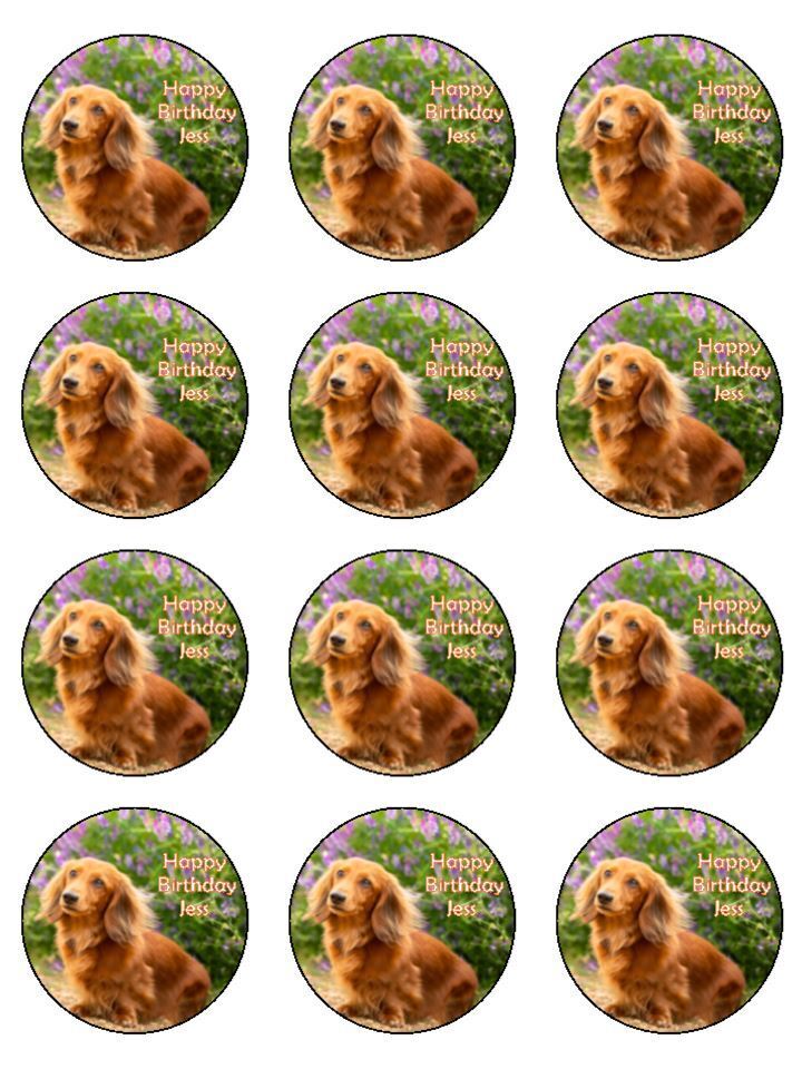 Personalised Dachshund long hair dog Edible Printed Cupcake Toppers Icing Sheet of 12 Toppers