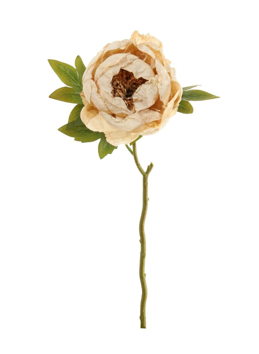 Dried Touch Peony Artificial Flower Stem Vintage Oyster
