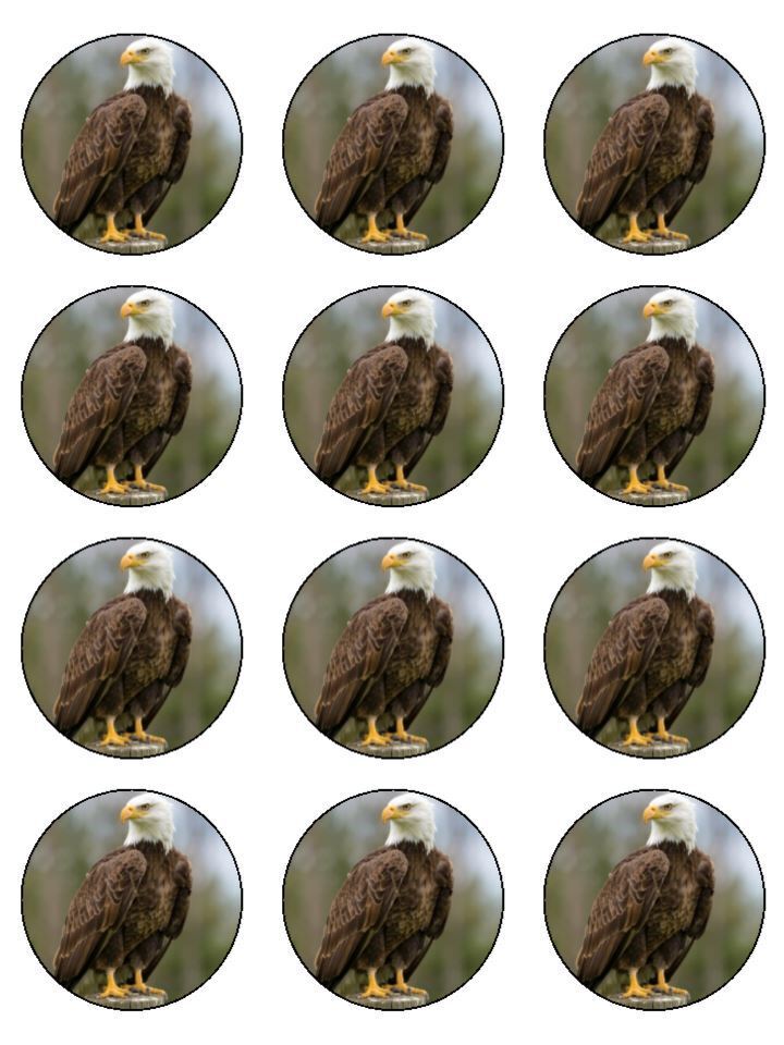 Eagle bird of prey creature Edible Printed Cupcake Toppers Icing Sheet of 12 Toppers