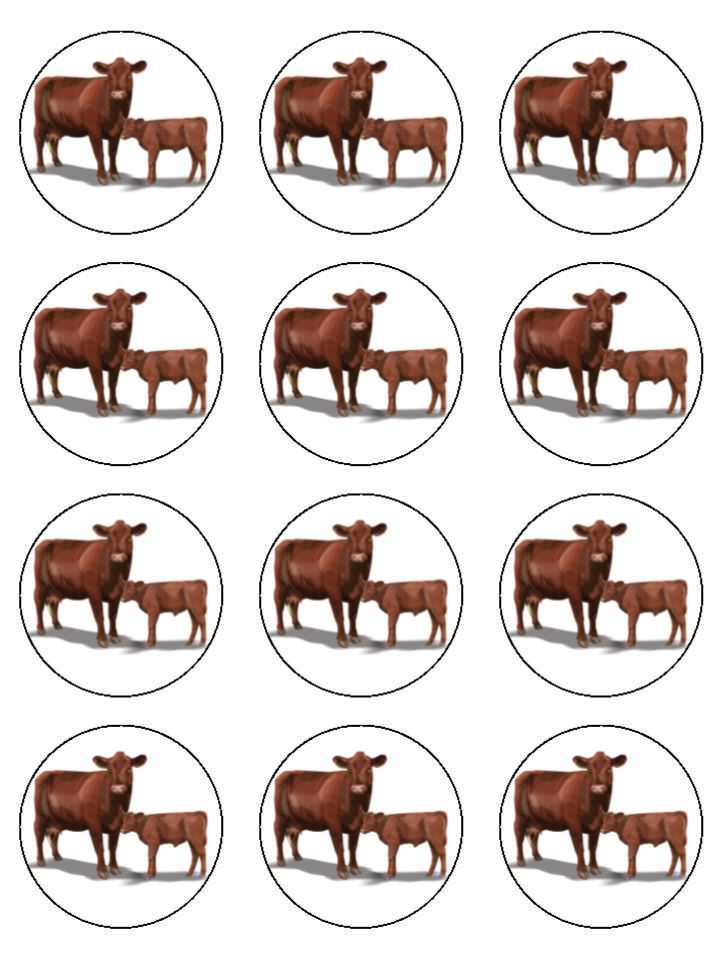 Red Poll Cattle Cows Farm edible printed Cupcake Toppers Icing Sheet of 12 Toppers