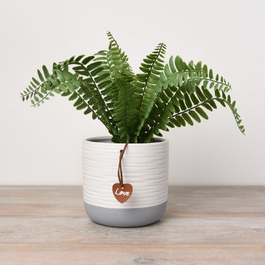 White and Grey Pot Planter with Love Tag Detail