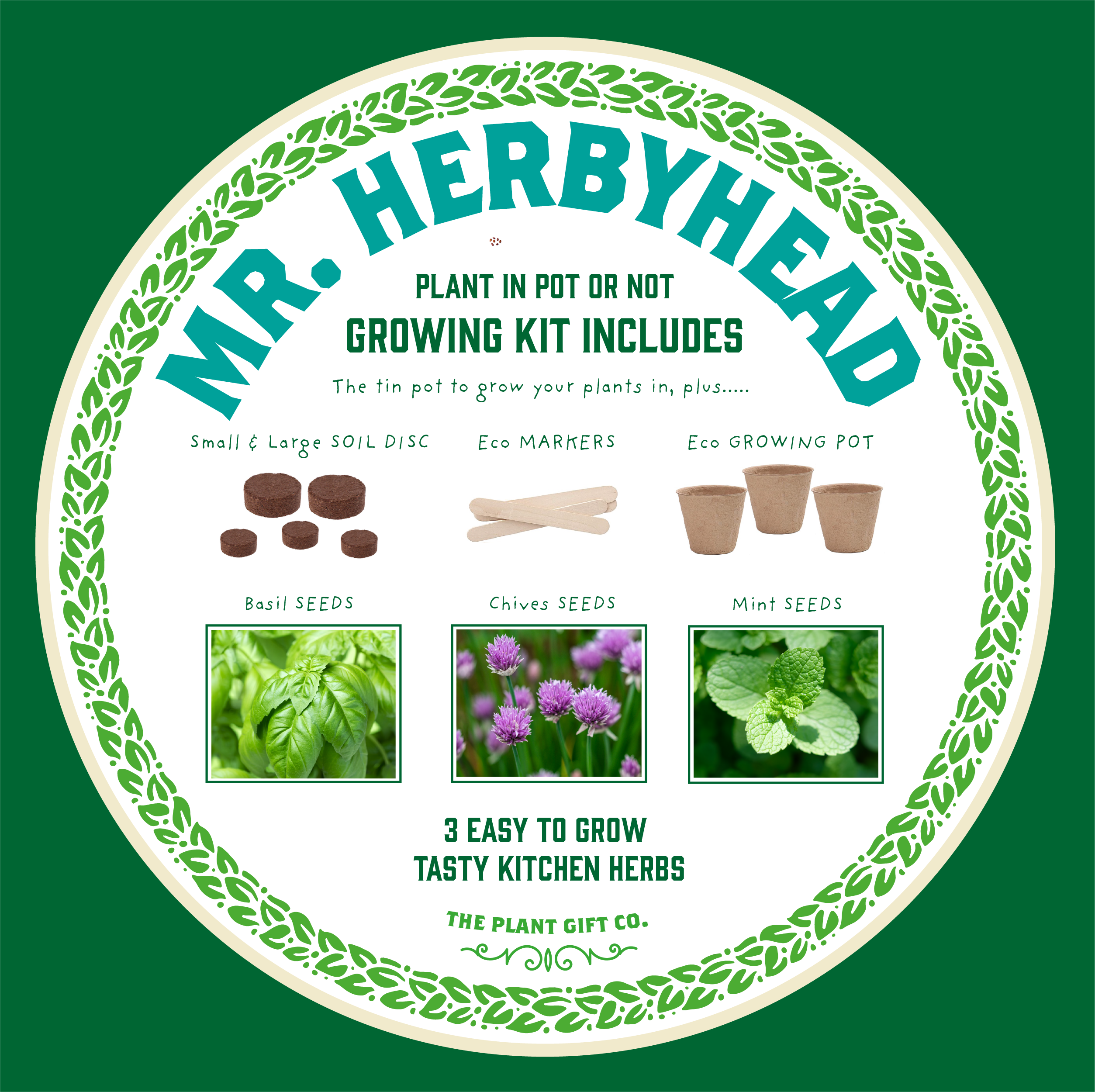 Mr. Herbyhead Grow Your Own Herbs Plant Tin Kit Gardening Gift