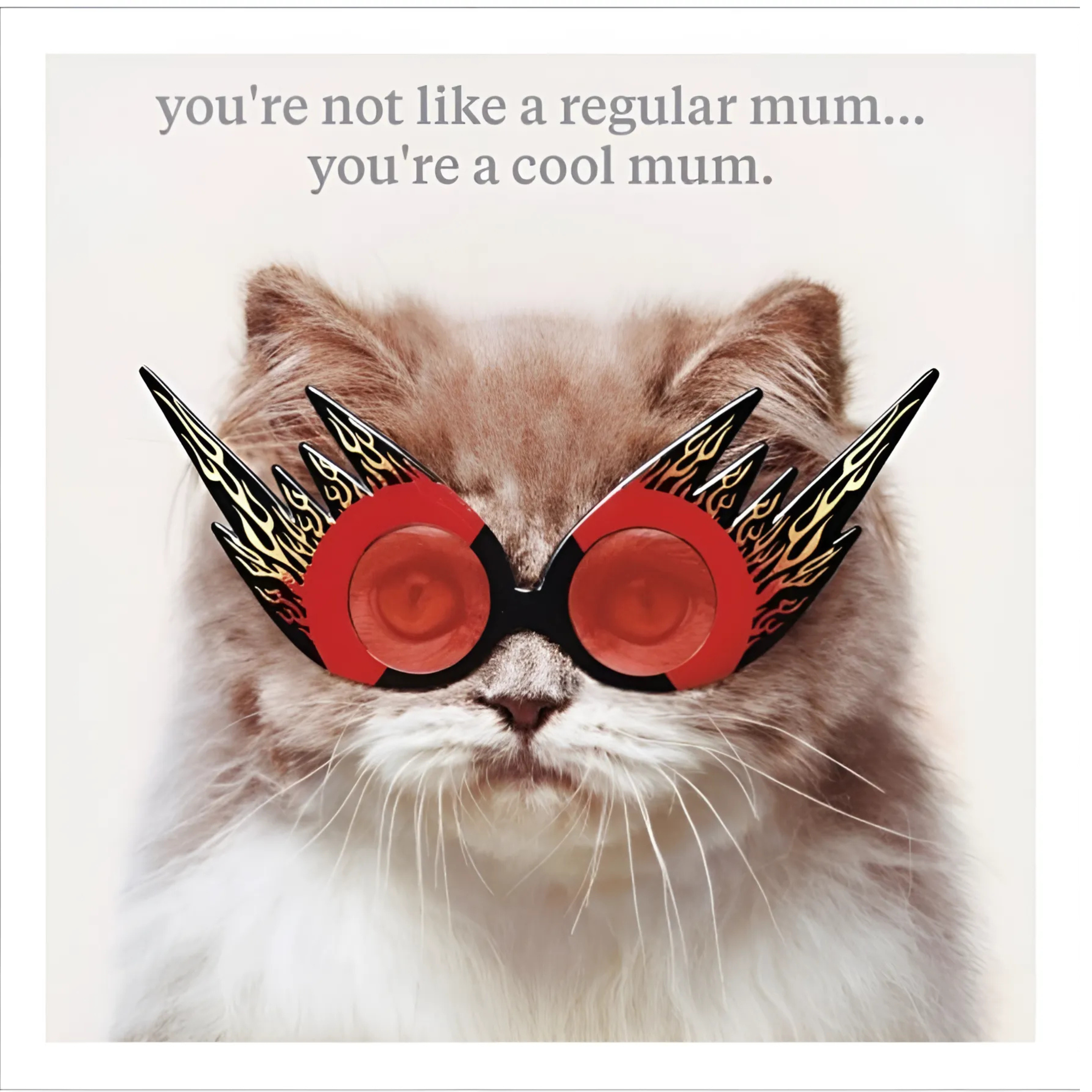 Cool Mum Cat Greeting Card with Envelope