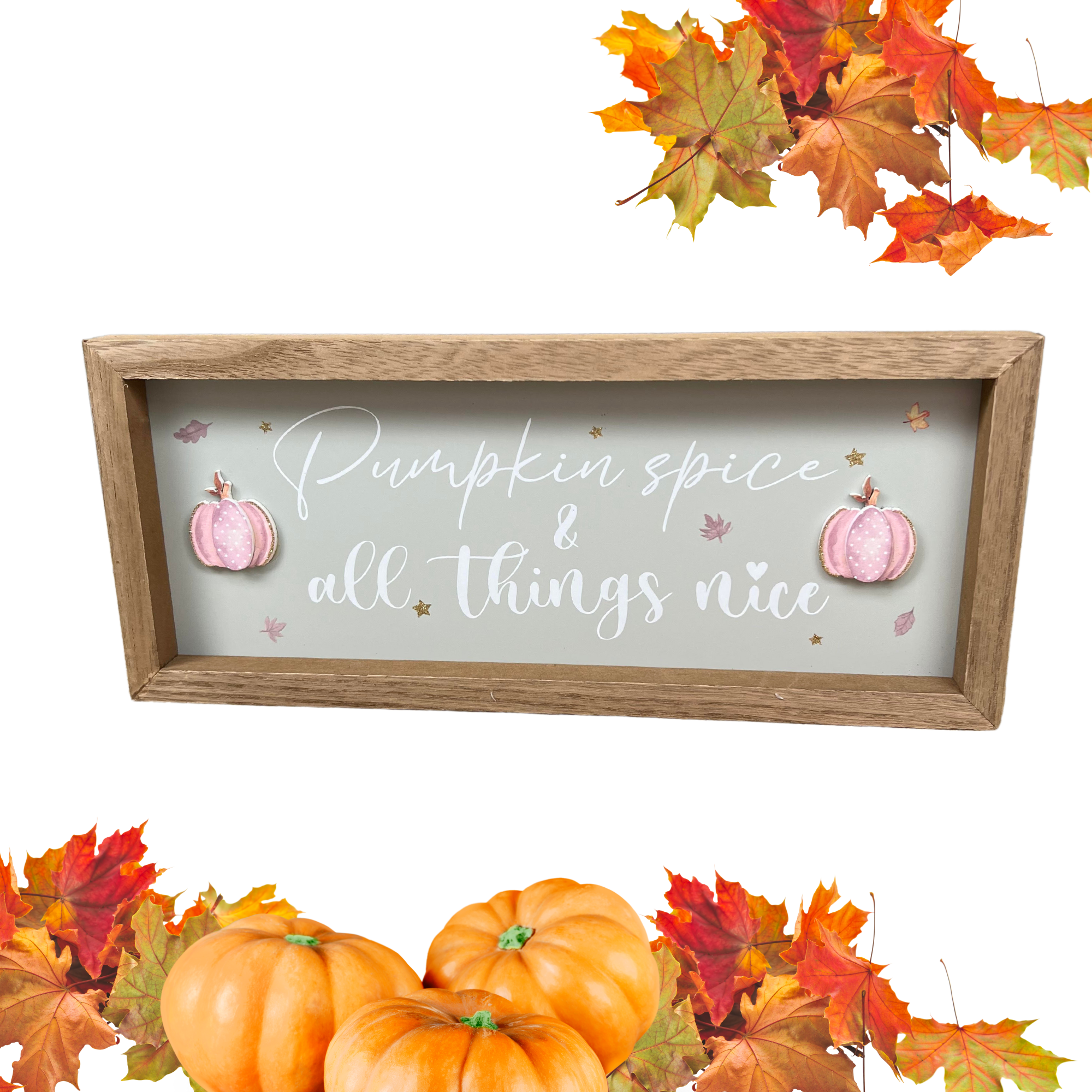 Pumpkin Spice & All Things Nice Wooden Decorative Autumn Plaque