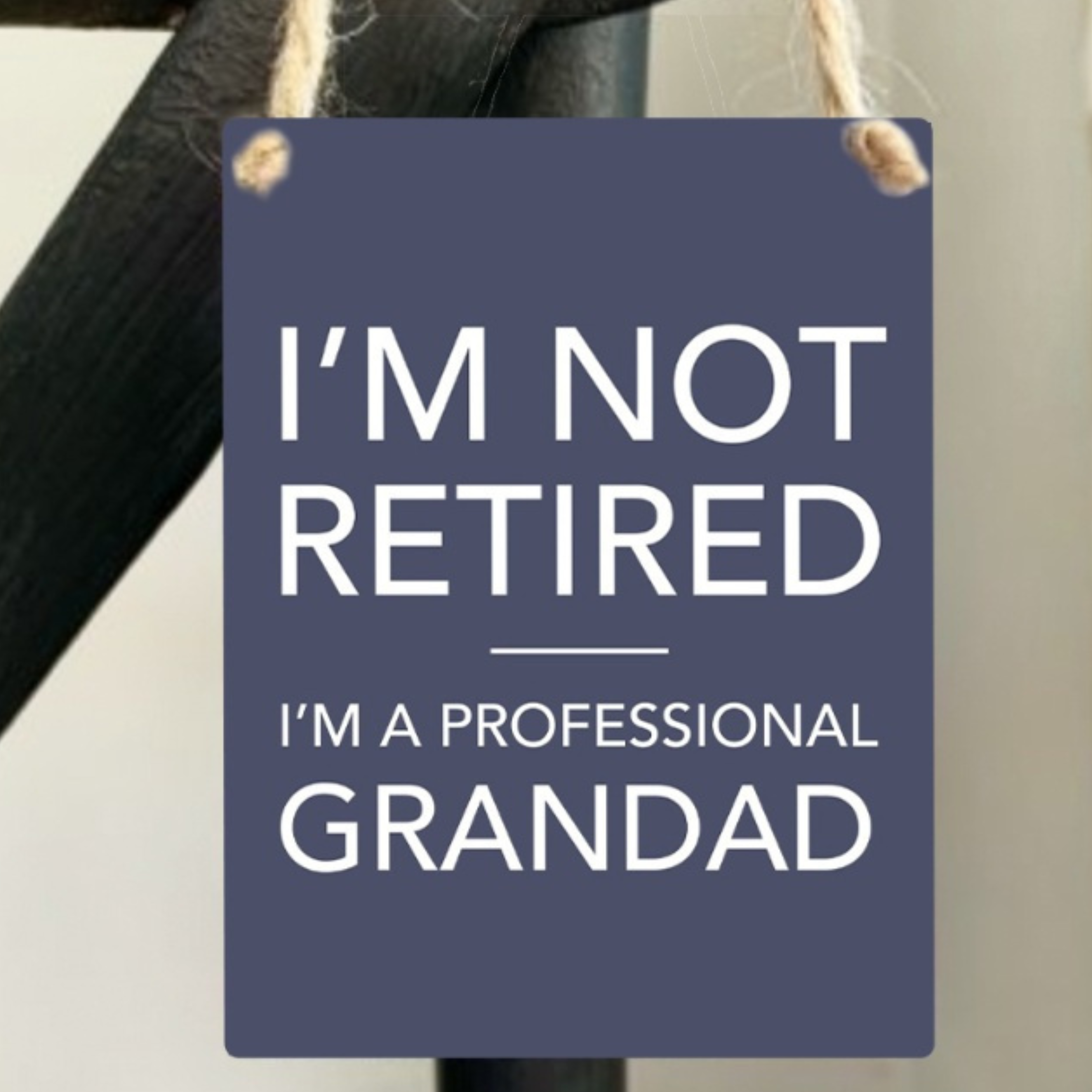 Metal Decorative Hanging Mini Sign - I'm Not Retired I'm a Professional Grandad