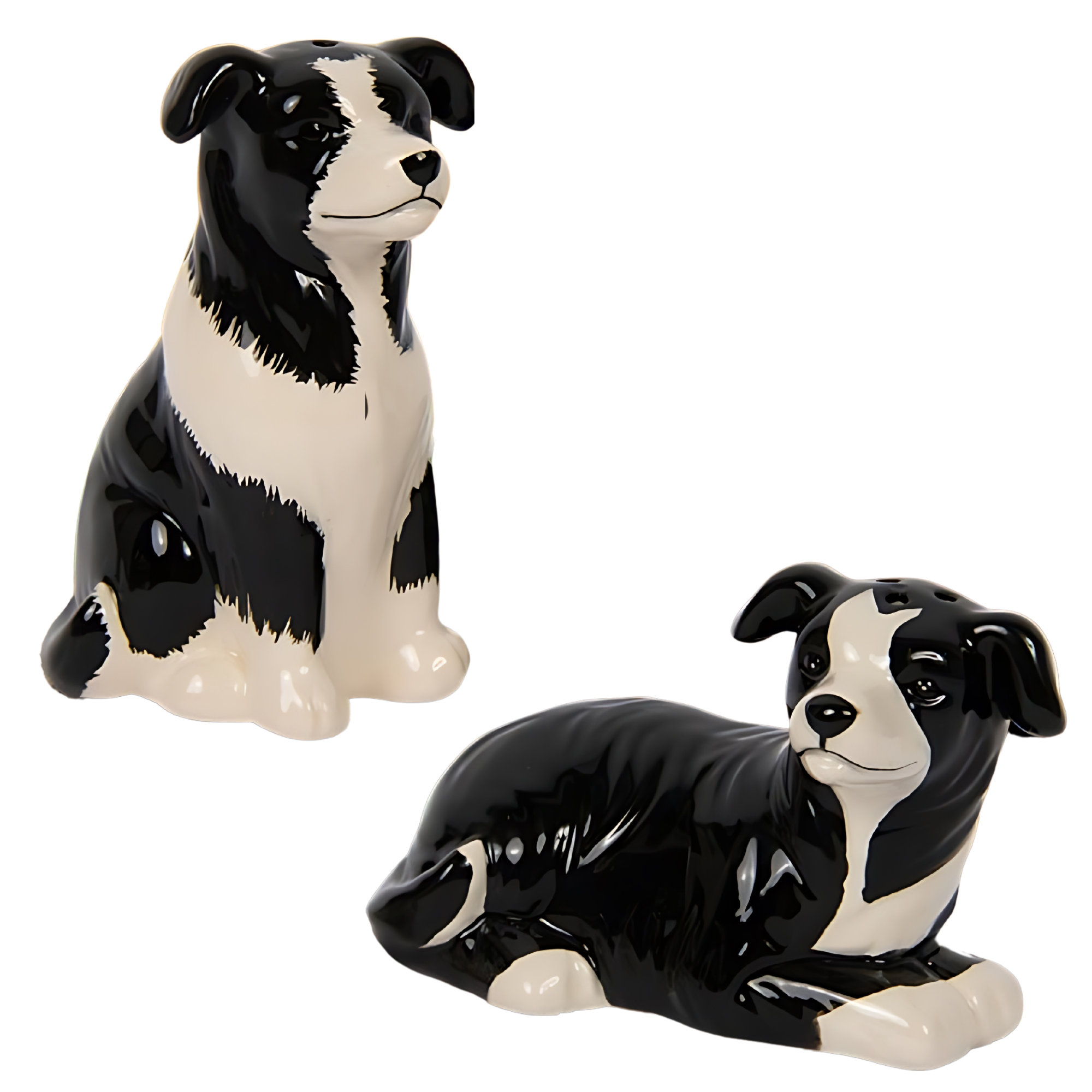 Salt and Pepper Ceramic Animal Cruet Set - Border Collie Dog