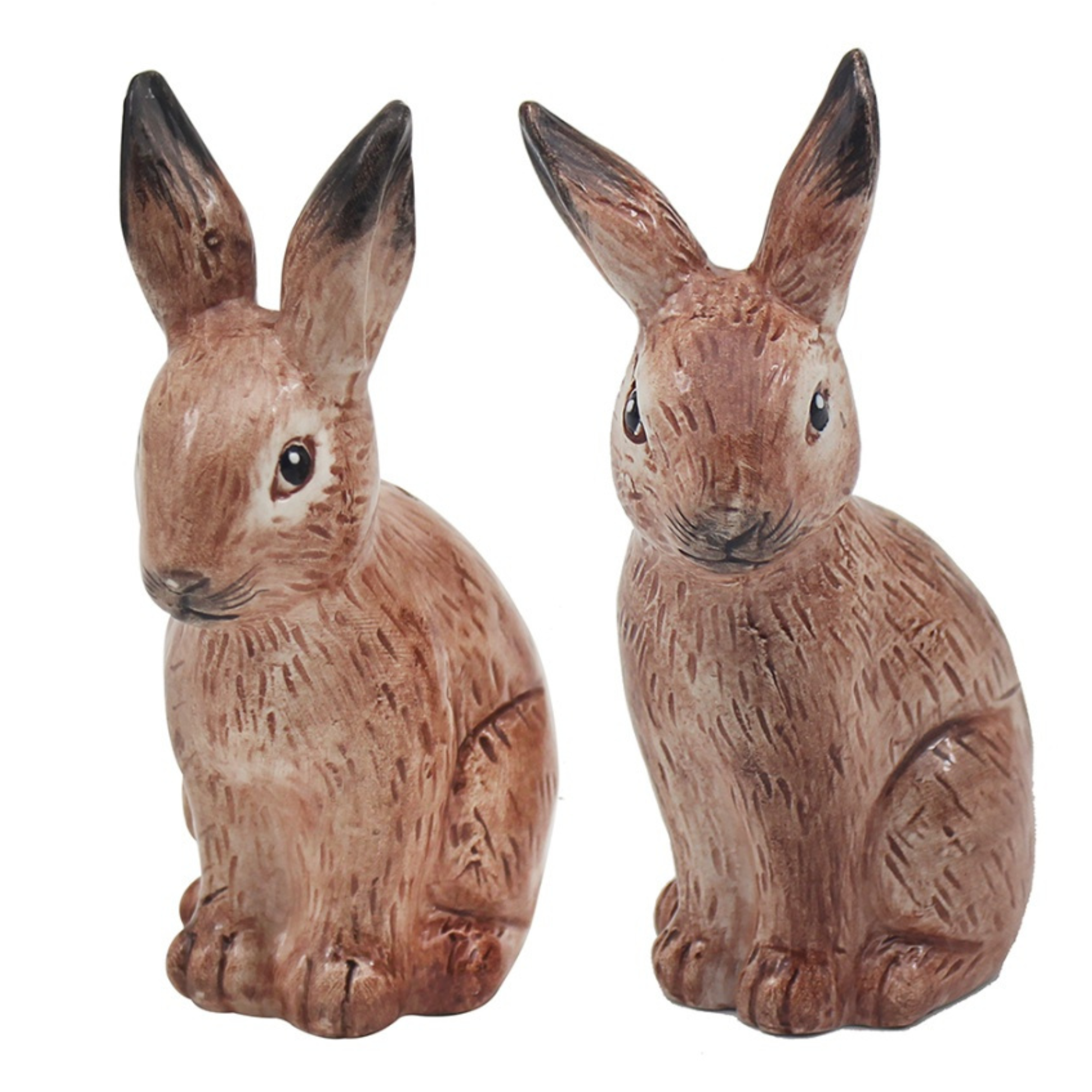 Salt and Pepper Ceramic Animal Cruet Set - Hares