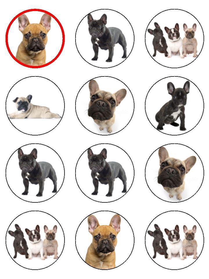 French Bulldog Frenchie Cute Pup Dog edible printed Cupcake Toppers Icing Sheet of 12 Toppers