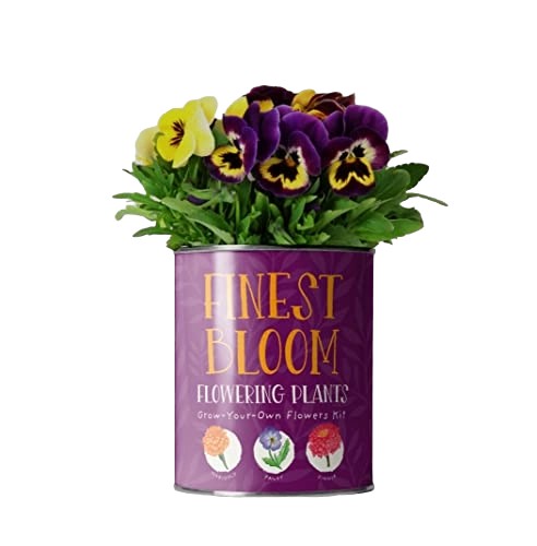 Finest Bloom Grow Your Own Flowers Tin Kit Gardening Gift