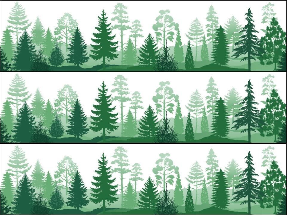 Forest green trees Ribbon Border Edible Printed Icing Sheet Cake Topper
