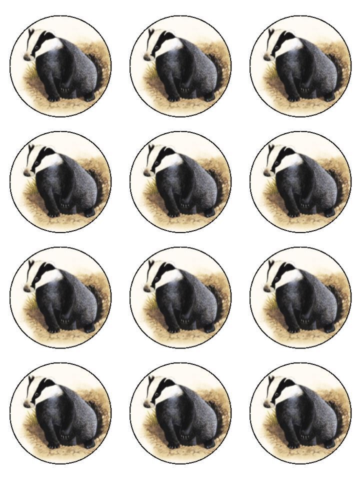 Badgers animal wildlife badger Edible Printed Cupcake Toppers Icing Sheet of 12 Toppers