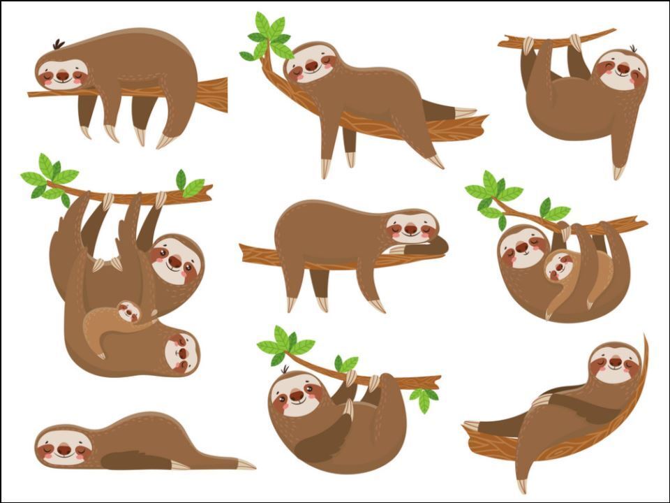 Sloth sloths animal cute Edible Printed Cake Decor Topper Icing Sheet Toppers Decoration