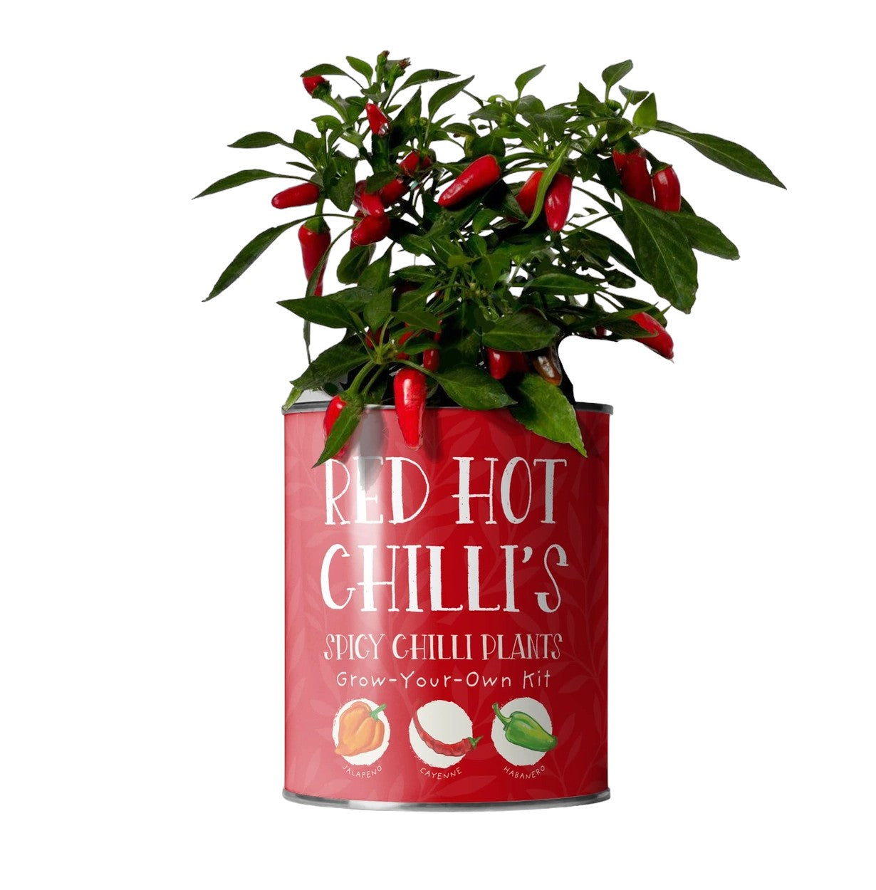 Red Hit Chillies Grow Your Own Chilli Plant Tin Kit Gardening Gift