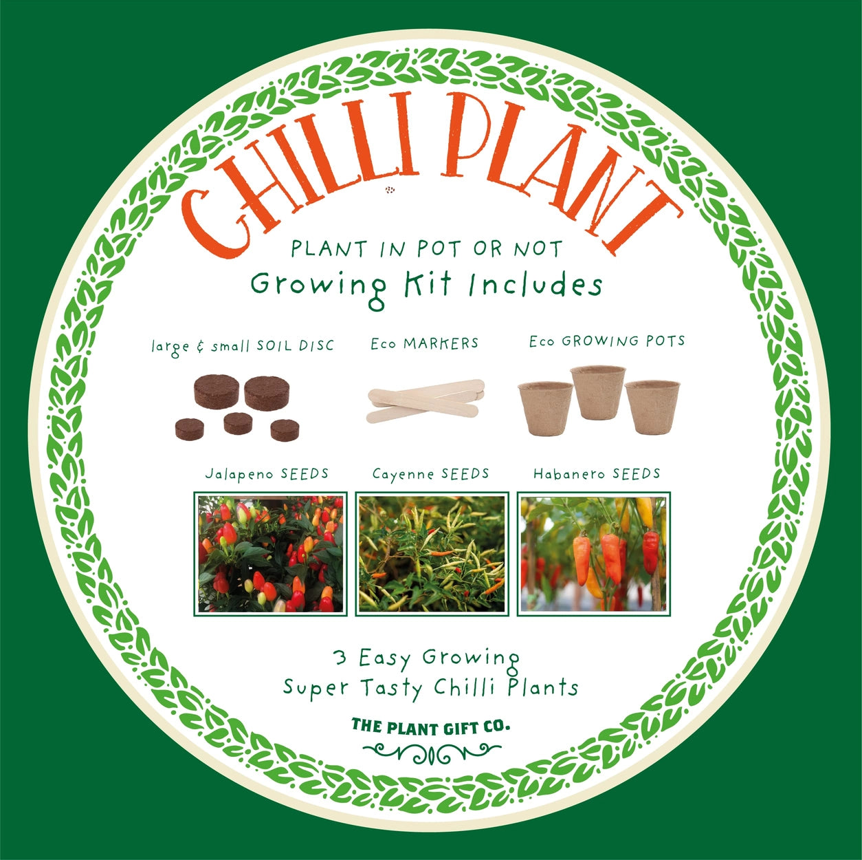 Red Hot Chillies Grow Your Own Chilli Plant Tin Kit Gardening Gift