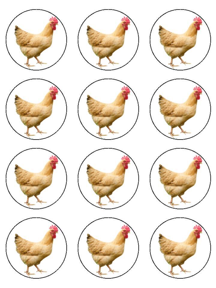 Chicken pet farm animal Edible Printed Cupcake Toppers Icing Sheet of 12 Toppers