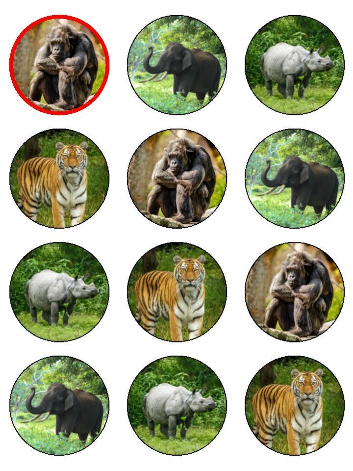 chimp tiger elephant rhino jungle Edible Printed Cupcake Toppers Icing Sheet of 12 Toppers