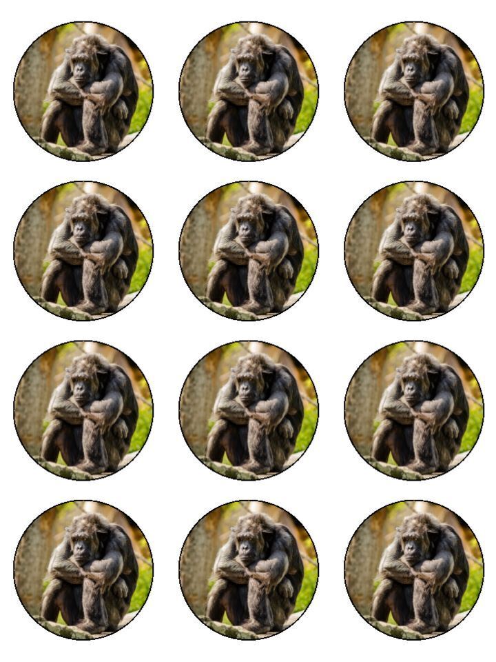 Chimpanzee monkey jungle Edible Printed Cupcake Toppers Icing Sheet of 12 Toppers