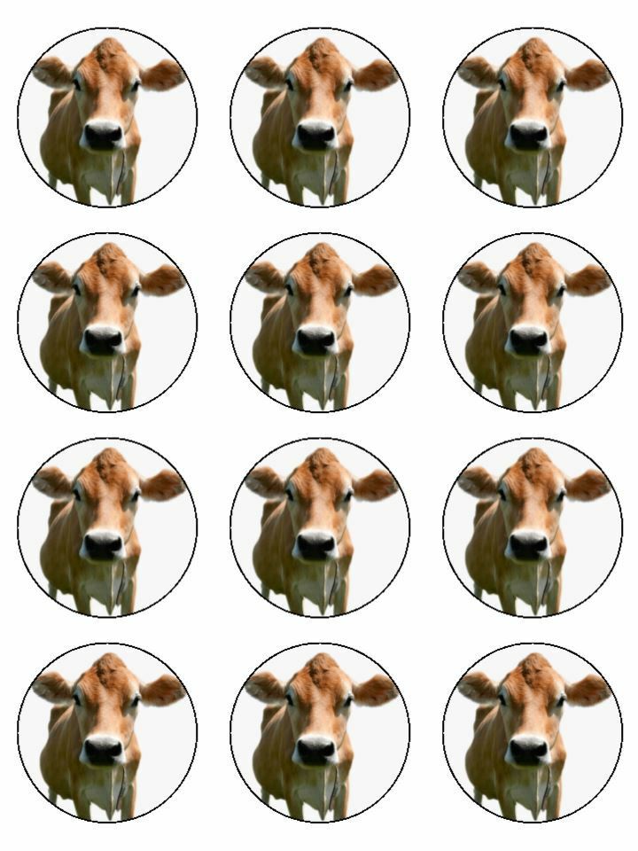 Cow Jersey cow farm animal Edible Printed Cupcake Toppers Icing Sheet of 12 Toppers