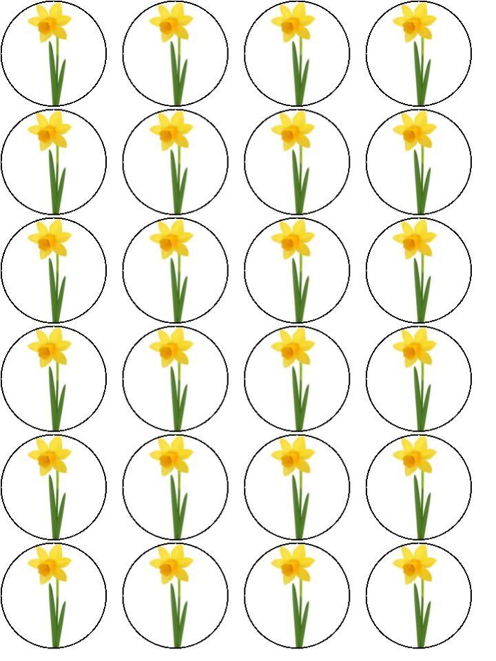 Daff Daffodil Welsh Flower Edible Printed Cupcake Toppers Icing Sheet of 12 Toppers