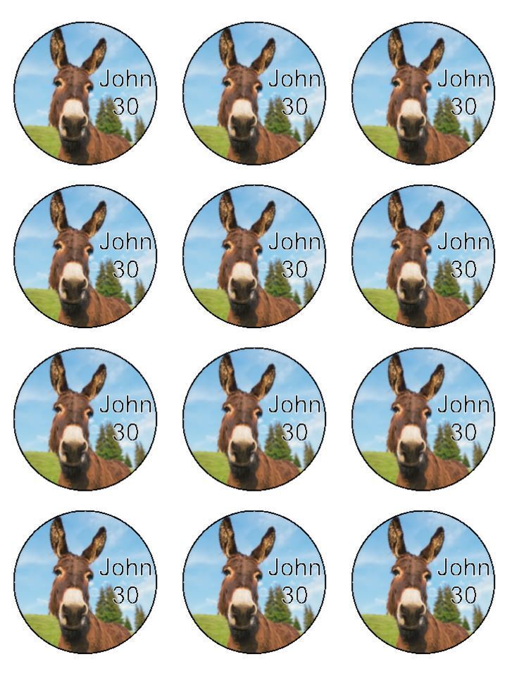 Donkey animal personalised Edible Printed Cupcake Toppers Icing Sheet of 12 toppers