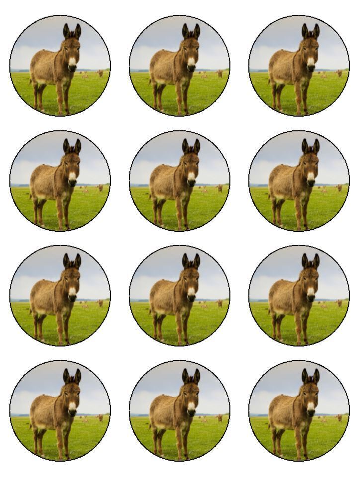 World Donkey day animal Edible Printed Cupcake Toppers Icing Sheet of 12 Toppers