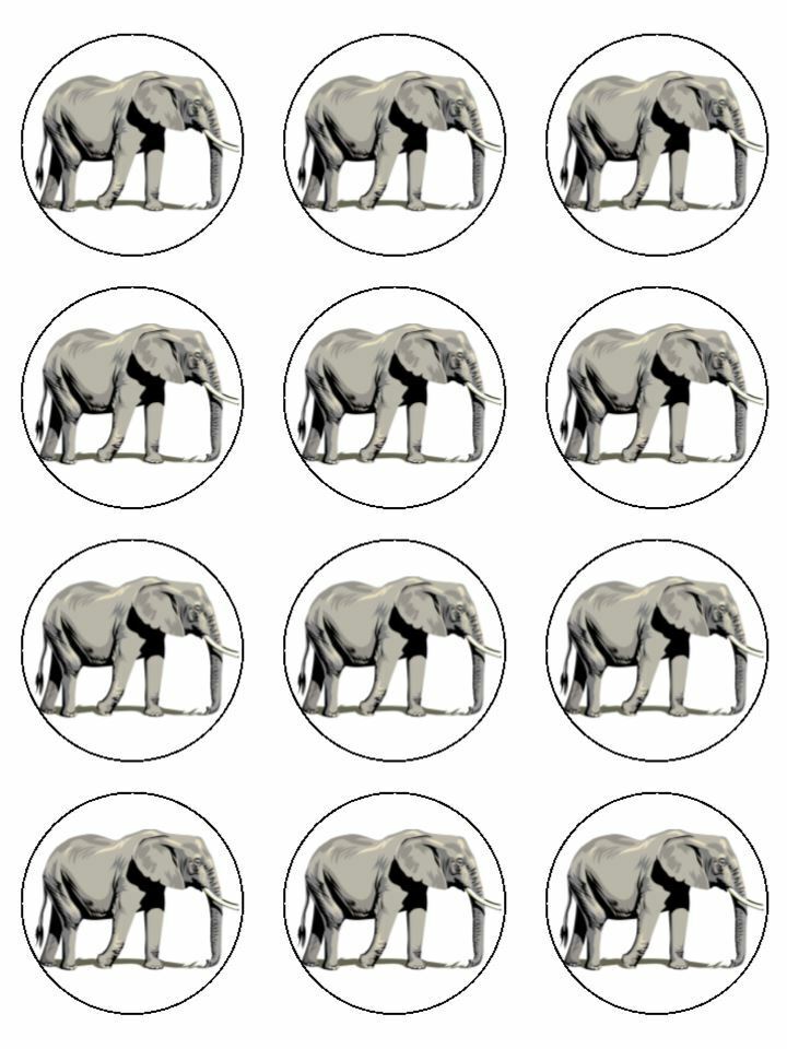 Elephant grey animal wild animal edible printed Cupcake Toppers Icing Sheet of 12 Toppers